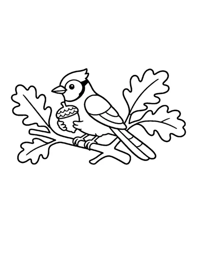 Blue Jay Coloring Page: free printable line art