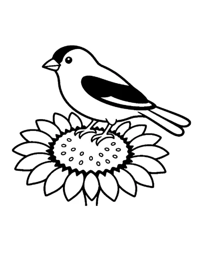 Goldfinch Coloring Page: free printable line art