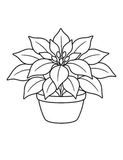 Poinsettia Coloring Page: free printable line art