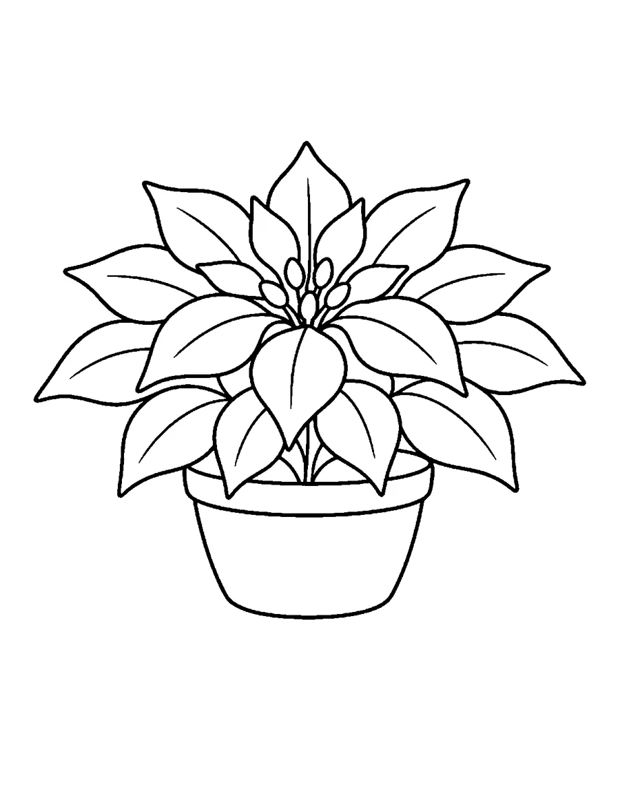 Poinsettia plant in a pot, large print Christmas flower coloring page