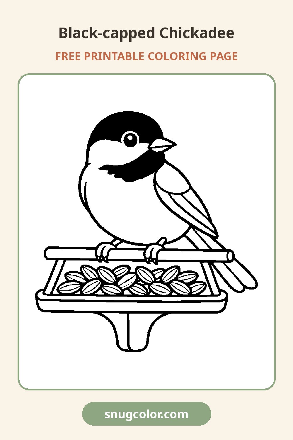 Black-capped Chickadee Coloring Page Pinterest pin
