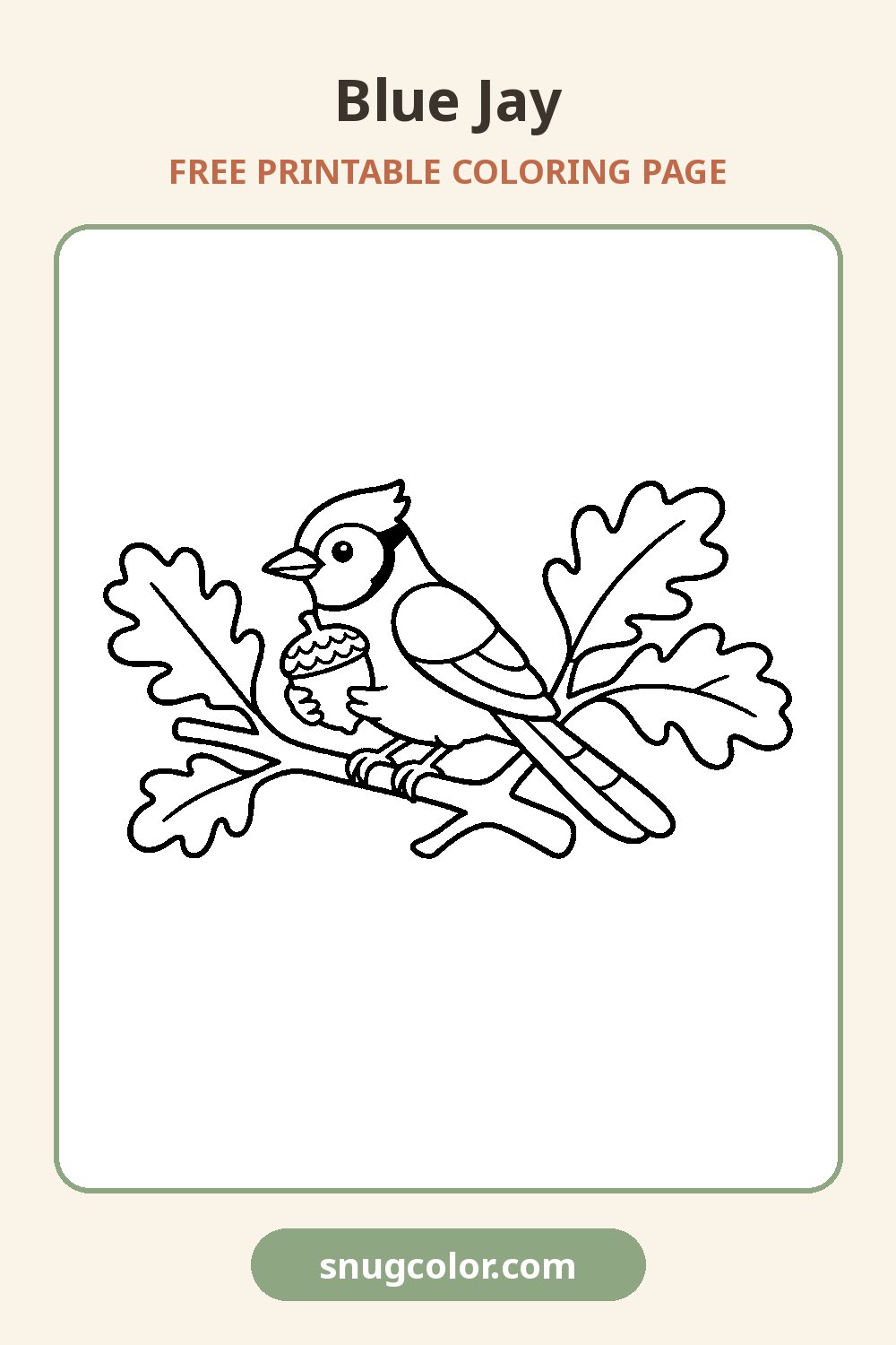 Blue Jay Coloring Page Pinterest pin