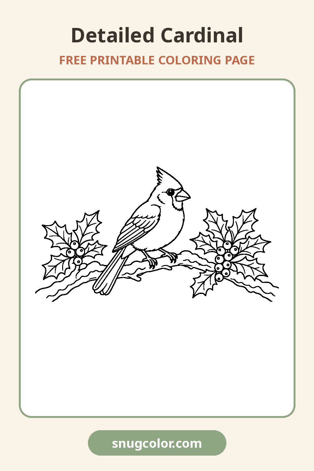 Detailed Cardinal Coloring Page Pinterest pin