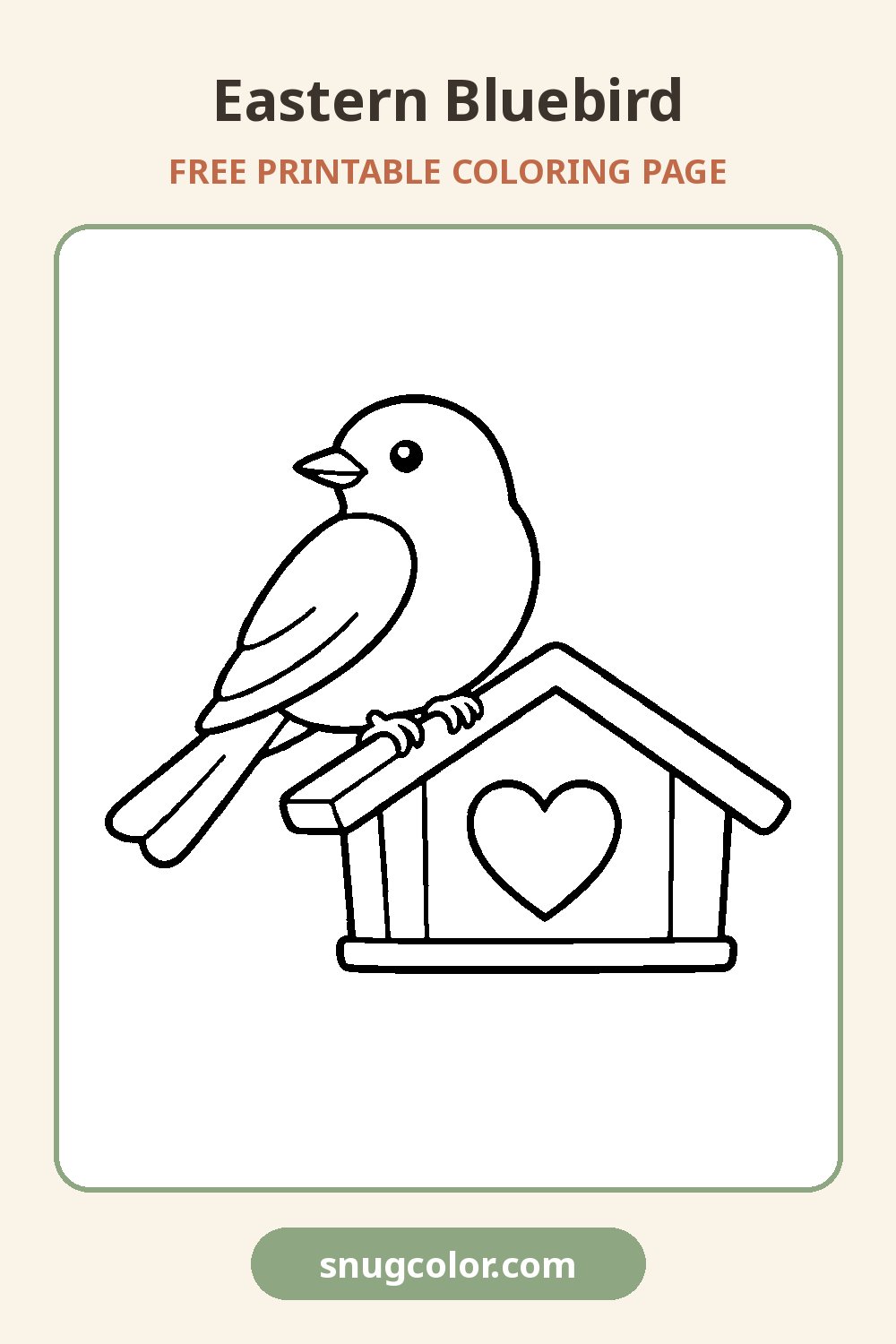 Eastern Bluebird Coloring Page Pinterest pin