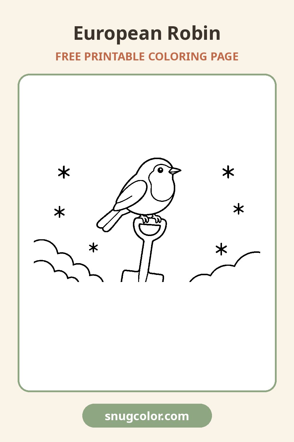 European Robin Coloring Page Pinterest pin