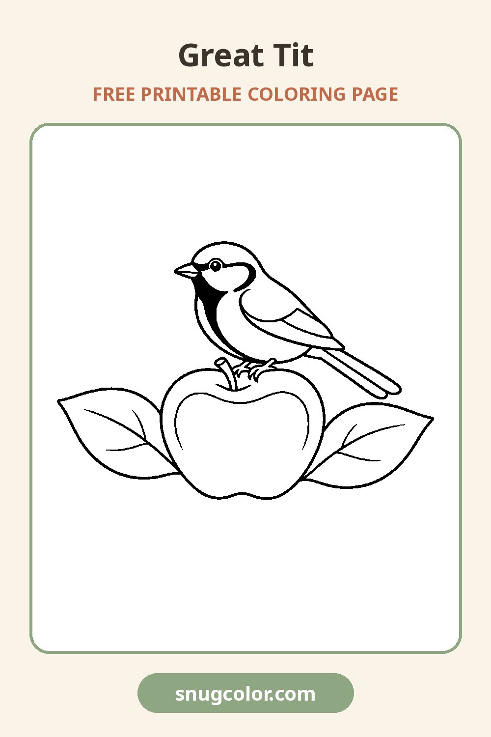Great Tit Coloring Page Pinterest pin