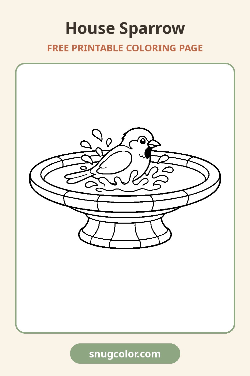 House Sparrow Coloring Page Pinterest pin
