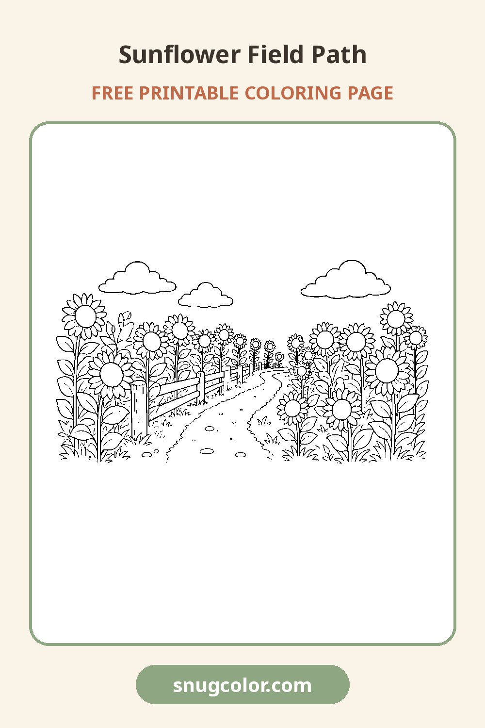 Sunflower Field Path Coloring Page Pinterest pin